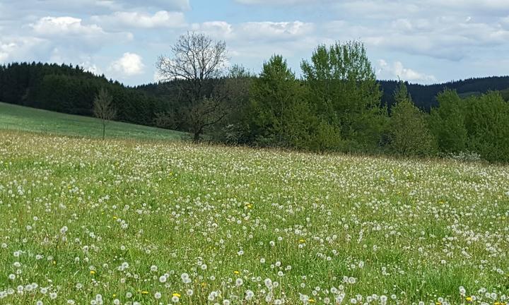 Das Knallharte Landleben